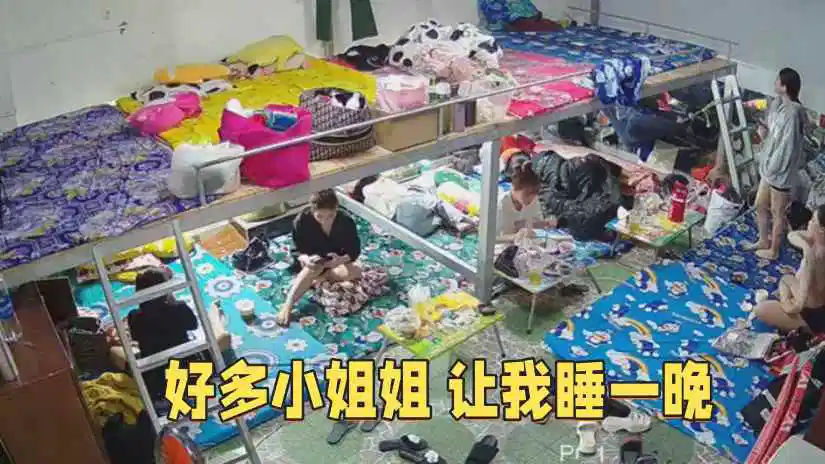 干成人网-欧美全集国语版